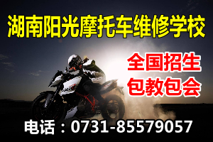 ��늾S�ް����֙C�S�ް�����X�S�ް���늹��࣬��������Һ���ҕ�S�ް���늄ӹ��߾S�ްࡢ늄�܇Ħ��܇�S�ް����W(w��ng)�j�I�N��Ӗ���W(w��ng)վ�O(sh��)Ӌ��Ӗ���Ԍ���Ӗ---ȫ������